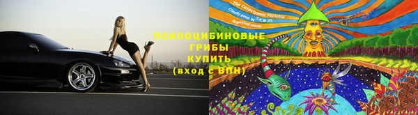 шишки Балахна
