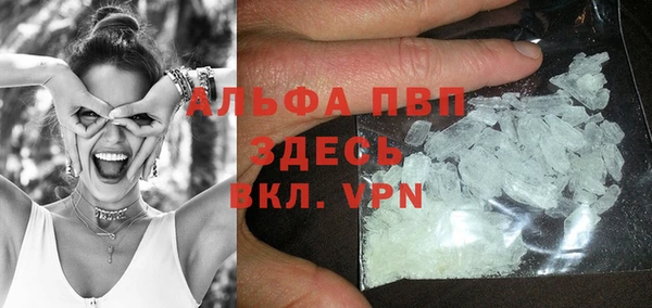 эйфоретик Баксан